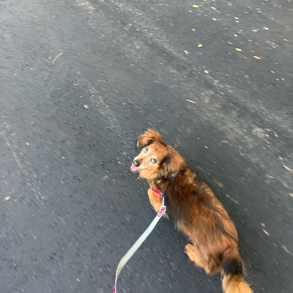 Meet your Posher - Picture 1 of 1